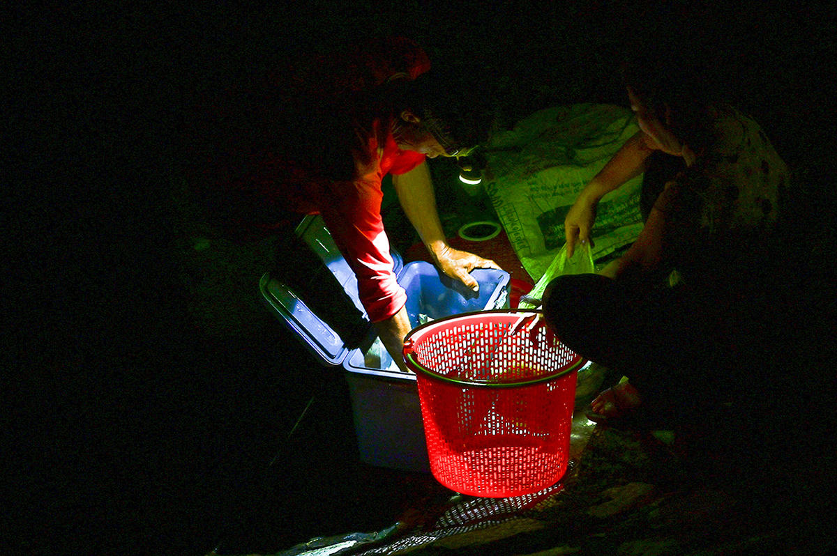 Khi màn đêm còn đen đặc, nhiều người hãy còn chìm sâu trong giấc ngủ thì những người mưu sinh trên đồng nước nổi ở phường Vĩnh Tế, An Giang vẫn đang loay hoay với công việc của mình. Ảnh Nguyễn Minh