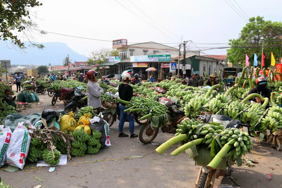 Ngã ba đường QL 9 và tuyến ĐT 586 (tại xã Lao Bảo, tỉnh Quảng Trị; còn được gọi là chợ chuối Tân Long). Ảnh: Đỗ Văn/ảnh chụp tháng 2/2024.