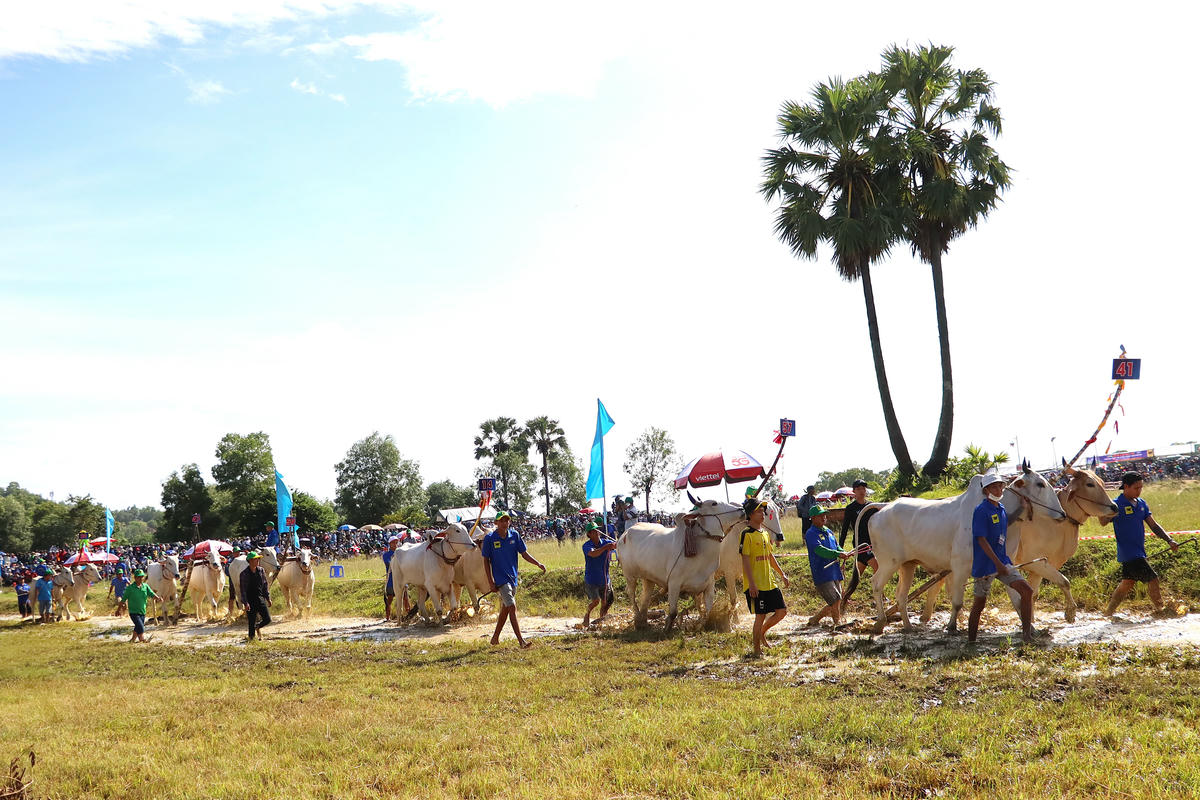 Đây là sự kiện văn hóa – thể thao đặc sắc của tỉnh An Giang, gắn liền với đời sống tinh thần của đồng bào Khmer vùng Bảy Núi, đồng thời là hoạt động chào mừng nhiều sự kiện trọng đại của đất nước và địa phương. (ảnh: Phương Vũ)