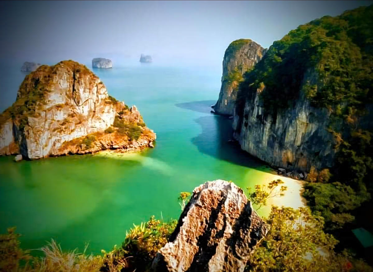 Có 4 kiểu sinh cảnh được xác định trong các hang ngầm và hồ nước mặn này, đó là bãi đá - cuội sỏi, bãi cát - cát bùn, rạn san hô và nền đáy bùn ứng với các quần xã sinh vật đặc trưng sống trong đó.