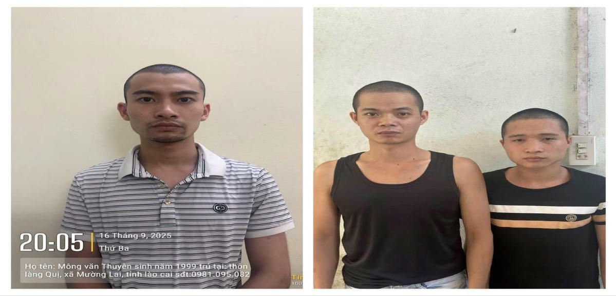 Các đối tượng (từ trái qua phải): Mông Văn Thuyên, Nông Ngọc Ánh, Hoàng Văn Khoan. Ảnh: Công an xã Mậu A.