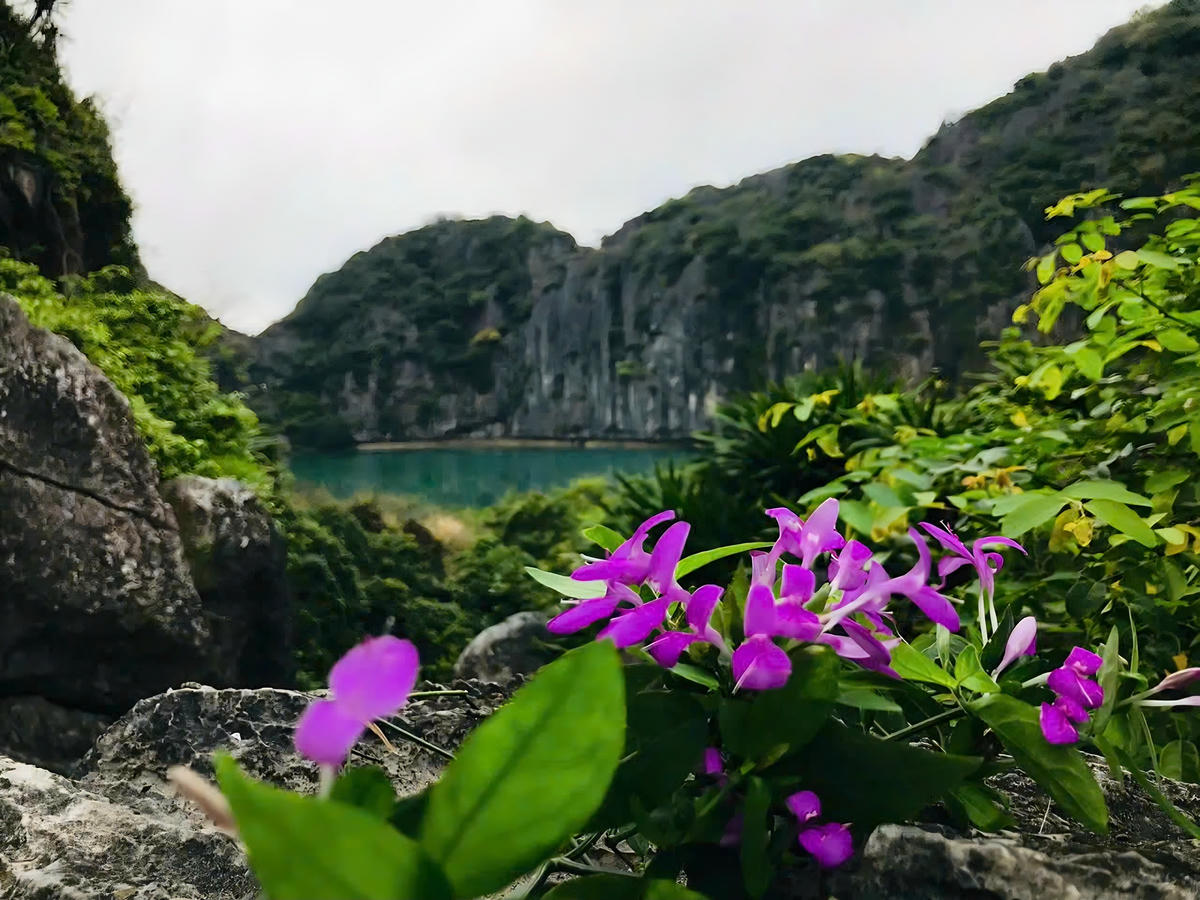 Nhiều hồ nước mặn có các đặc trưng về cảnh quan, sinh vật có thể sử dụng để phát triển du lịch như: Leo núi, ngắm cảnh, câu cá thư giãn, chèo kayak, khám phá các thảm thực vật hay tổ chức các lớp giáo dục về bảo vệ tài nguyên tự nhiên, môi trường tại các hồ nước mặn…