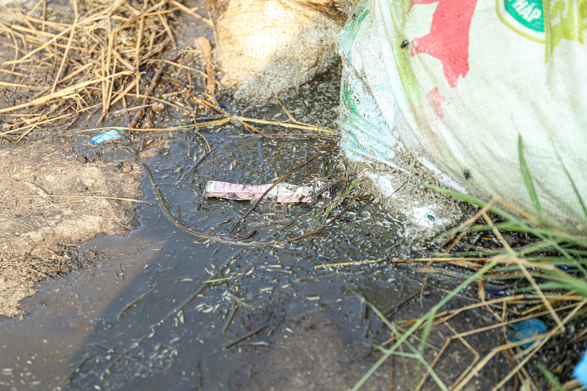 Hà Nội: Cỏ lấp lối đi tại công viên, hồ điều hòa hơn 700 tỷ đồng