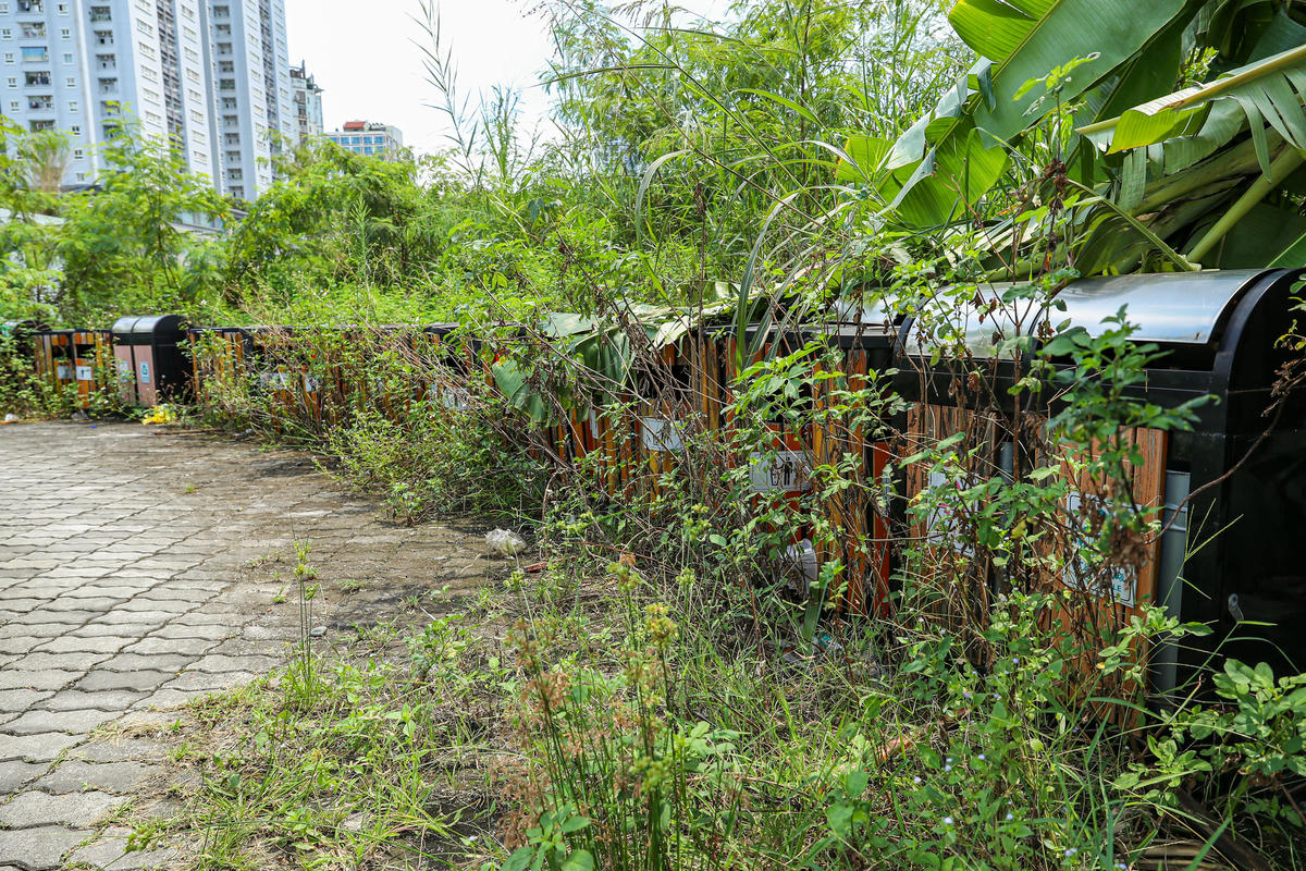 Trong công viên có rất nhiều thùng rác nhưng lại để tập trung hết vào một góc.