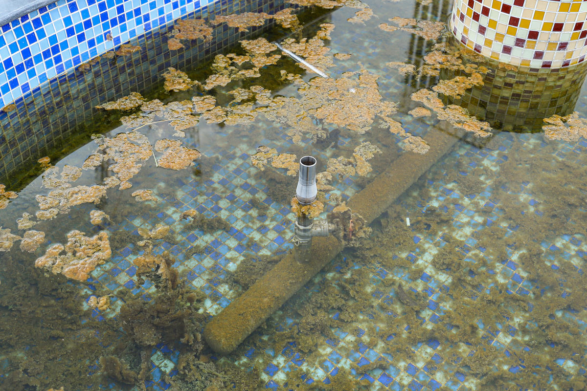 Hình ảnh rêu phong trong đài phun nước vẫn chưa được dọn dẹp.