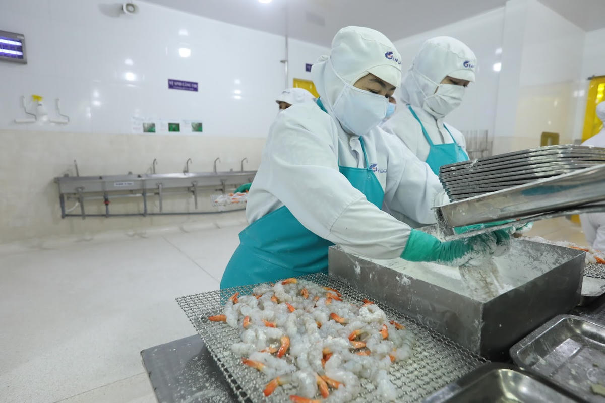 Nhu cầu thị trường tăng mở ra nhiều cơ hội cho con tôm Việt.	Ảnh: Quang Vinh
