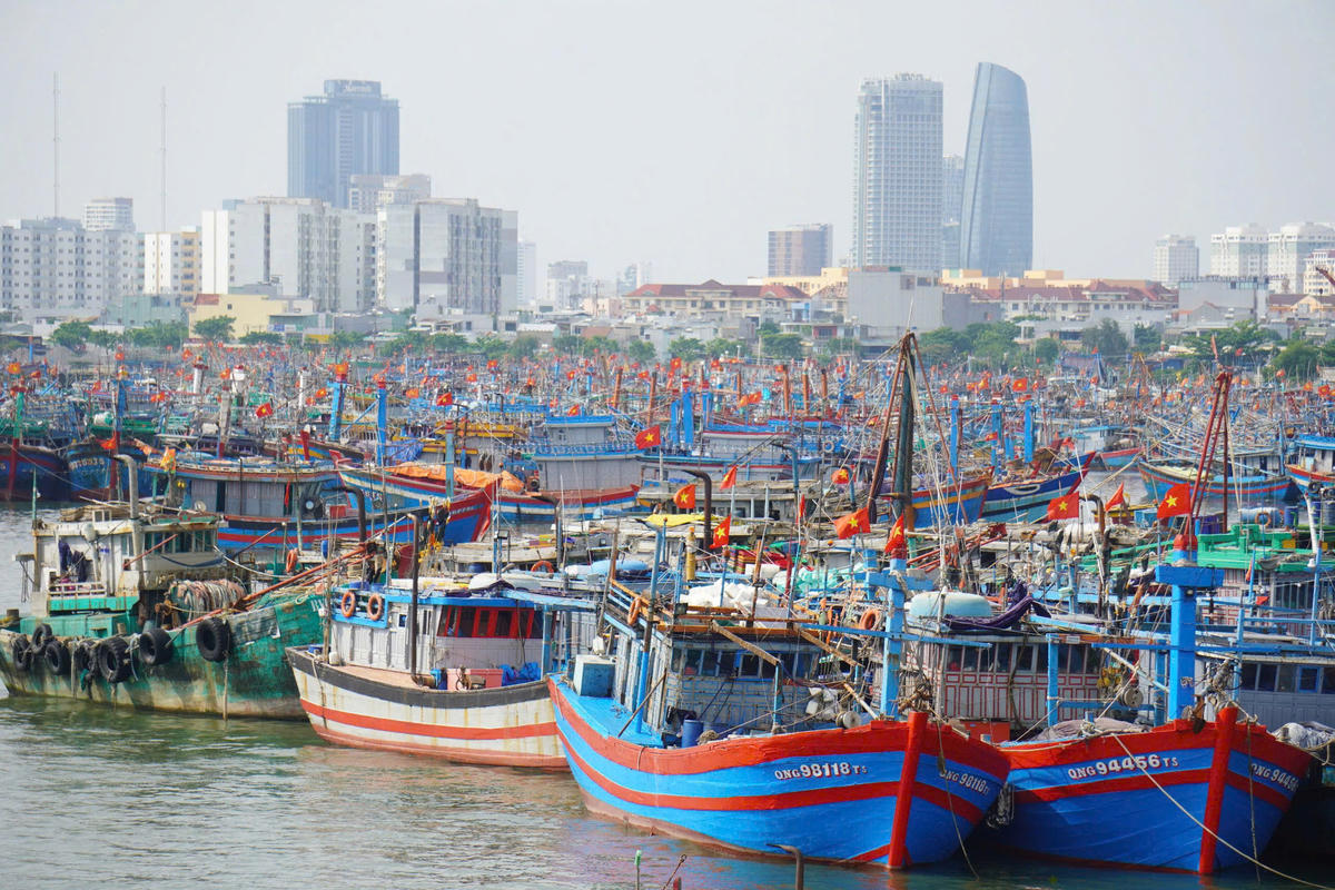 Một góc bến cảng tàu thuyền vào neo đậu trú tránh bão ở Đà Nẵng. Ảnh: Chí Đại.
