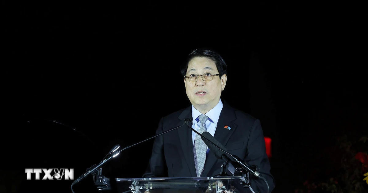 Chủ tịch nước Lương Cường phát biểu. (Ảnh: Lâm Khánh/TTXVN)