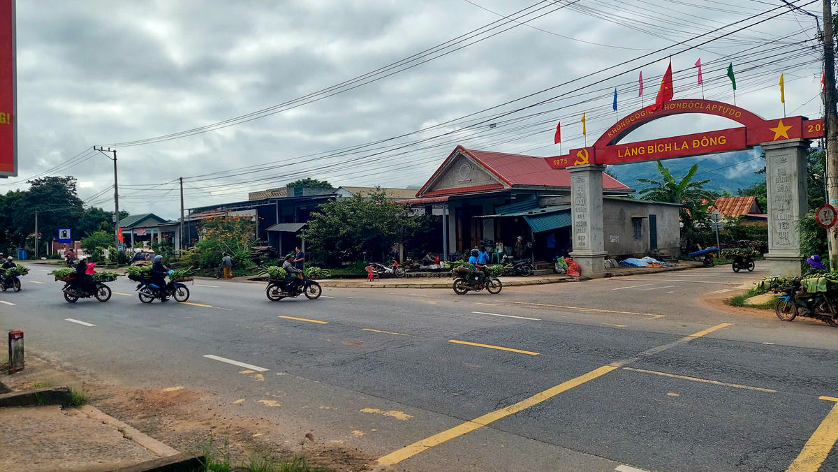 Vừa qua, xã Lao Bảo đã thông báo về địa điểm tập kết, thu mua chuối tạm tại thôn Bích La Đông để người dân được biết, thực hiện. Ảnh: ĐN.