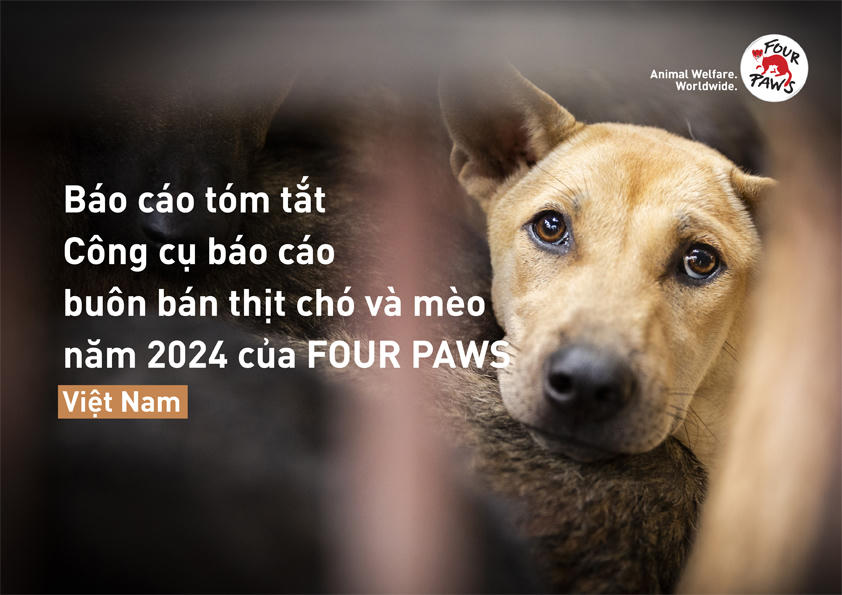 Ảnh: FOUR PAWS.