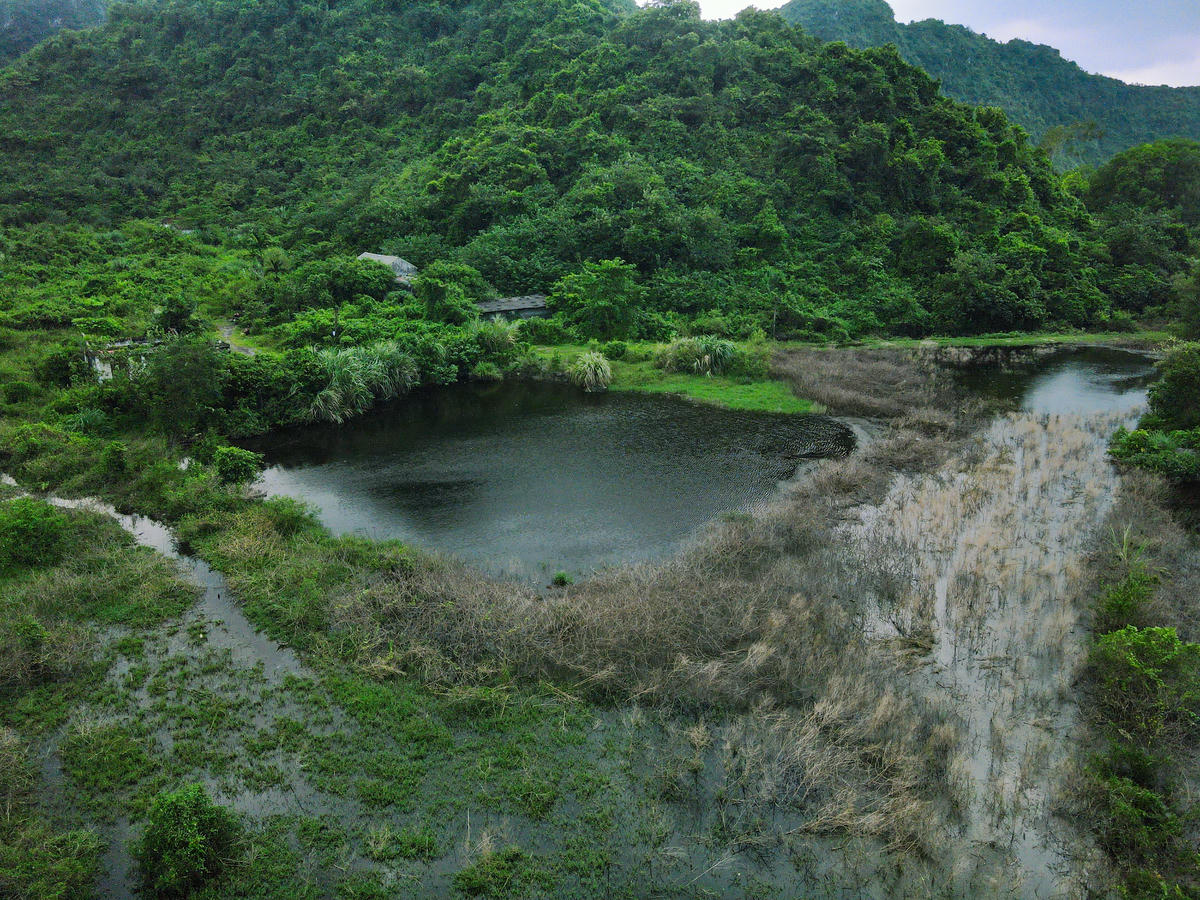 Trang trại của anh Nguyễn Mạnh Đạt ở gần bãi rác bị ảnh hưởng nghiêm trọng vì ô nhiễm. Ảnh: Đình Minh