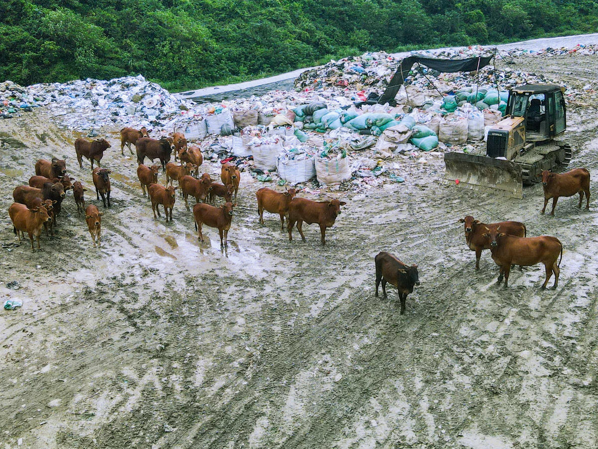 Đồng thời, tỉnh chỉ đạo các cơ quan liên quan đẩy nhanh tiến độ thu hút đầu tư hai nhà máy xử lý rác theo công nghệ đốt và đốt phát điện, với công suất khoảng 1.000 tấn/ngày, nhằm thay thế phương thức chôn lấp truyền thống, giảm thiểu ô nhiễm lâu dài. Ảnh: Đình Minh