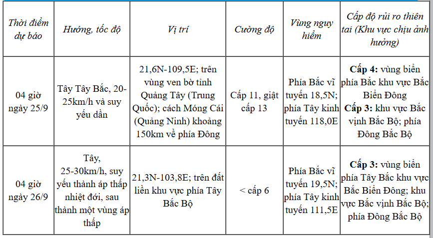 Bão số 9 giật cấp 17 gây sóng cao trên 10m, biển động dữ dội