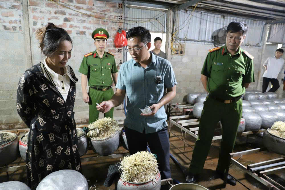 Hộ kinh doanh Q.T.T.T đã sử dụng chất cấm là "nước kẹo" để sản xuất, bán ra thị trường gần 500 kg giá đỗ. Ảnh: CAHT.