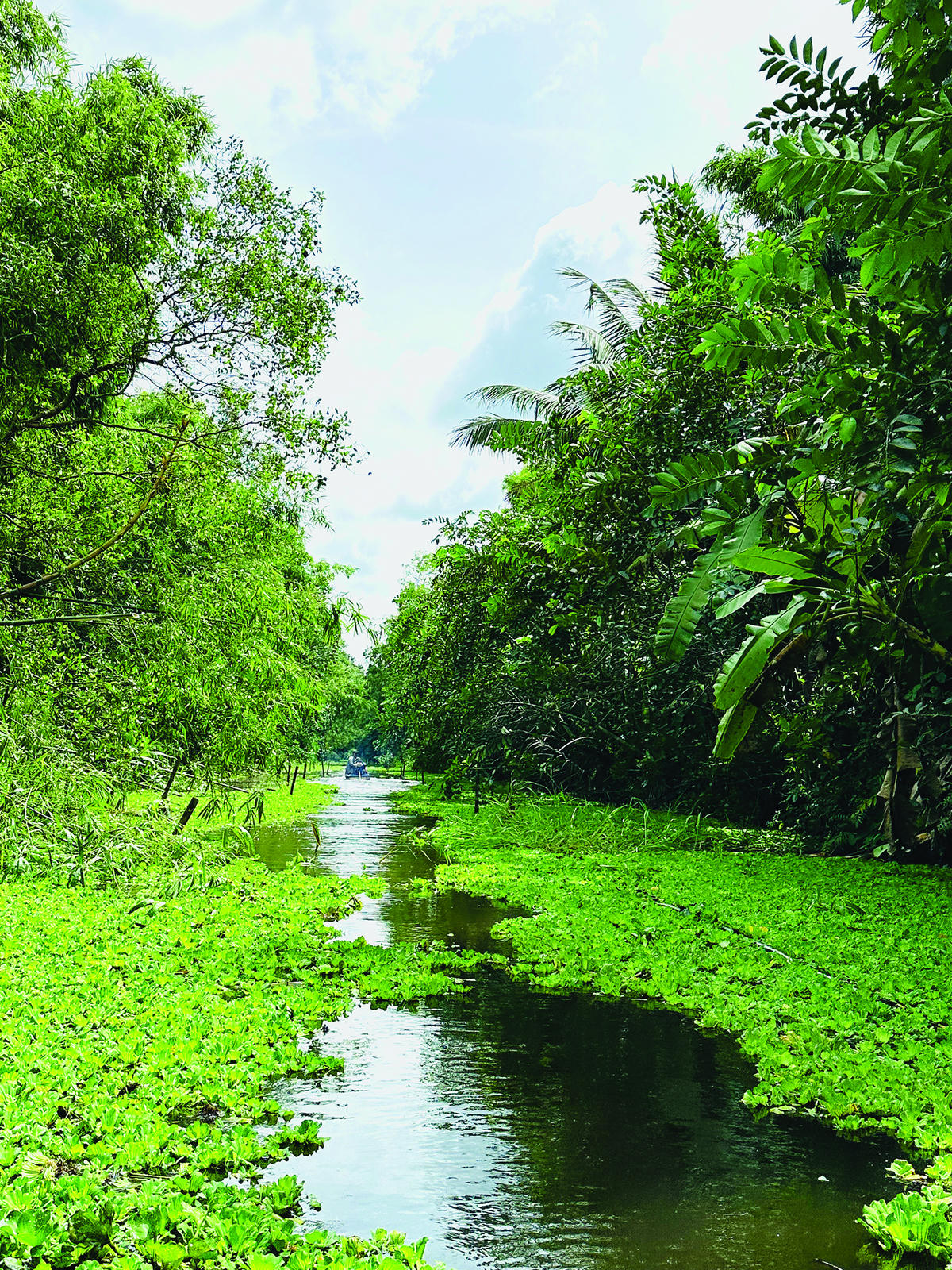 Một con lạch trong khu du lịch sinh thái Mùa Xuân