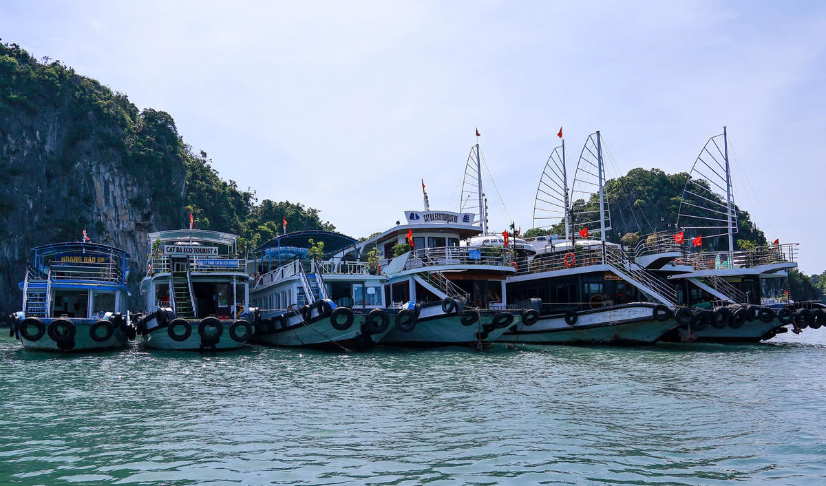 Tàu thuyền tại Đặc khu Cát Hải, TP Hải Phòng về nơi tránh bão an toàn. Ảnh: Xuân Thuỷ.