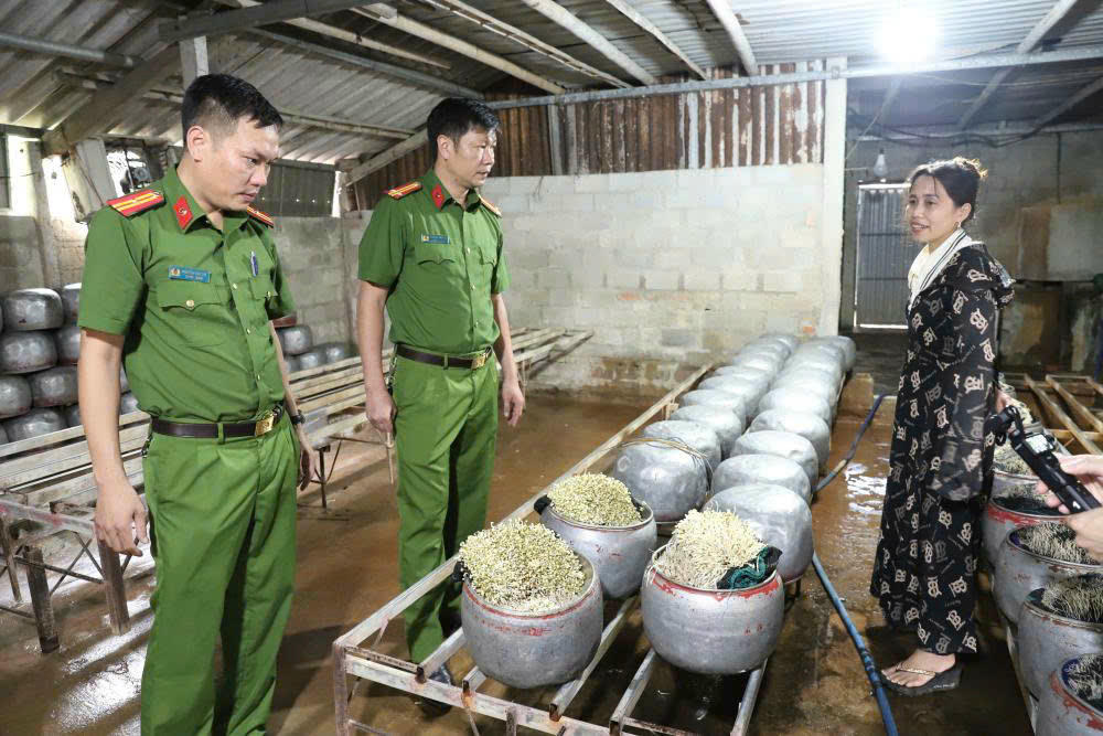 Cảnh sát, lực lượng chức năng phát hiện cơ sở của Q.T.T.T sử dụng chất cấm để sản xuất giá đỗ. Ảnh: CAHT.