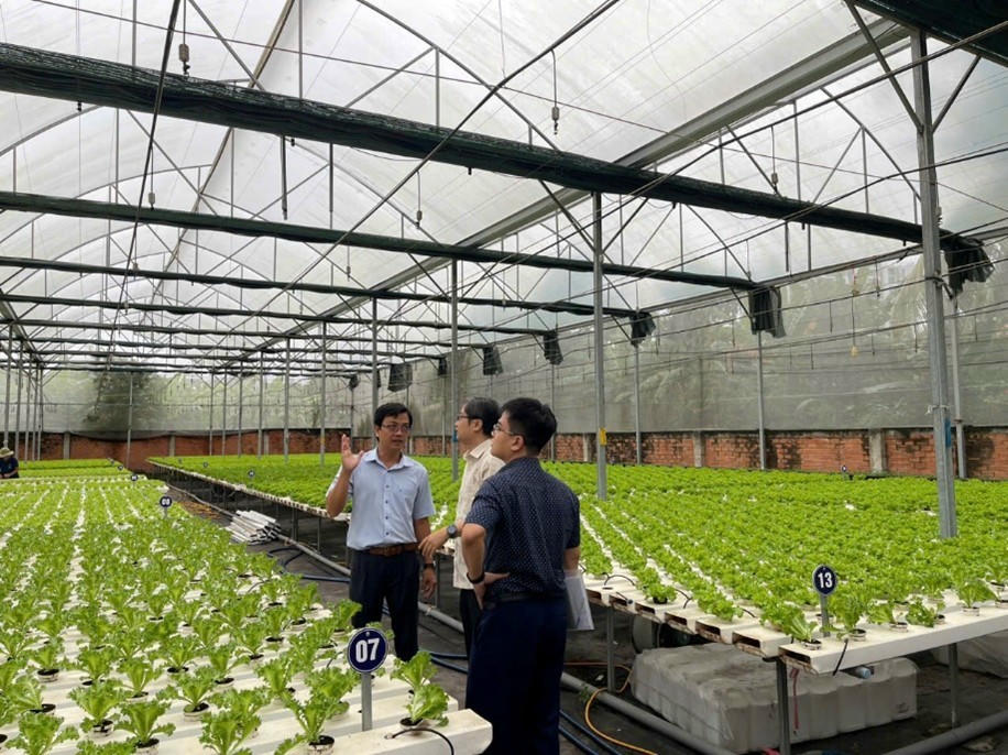   Ông Lâm Ngọc Tuấn – Giám đốc HTX Tuấn Ngọc trao đổi với lãnh đạo Chi cục Phát triển nông thôn (Sở Nông nghiệp và Môi trường TP Hồ Chí Minh) về quy trình trồng rau thủy canh. Ảnh: Thanh Nhàn  