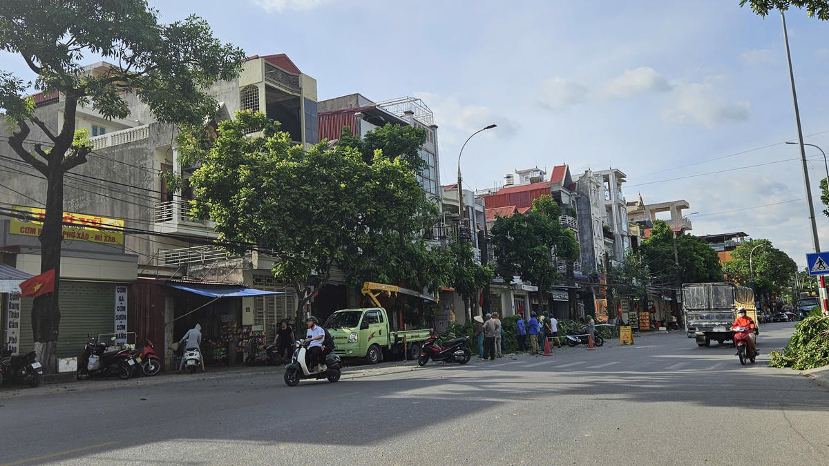 Chiều 24/9, lực lượng chức năng tại một số địa phương cắt tỉa cây xanh trước khi bão đổ bộ. Ảnh: PT.