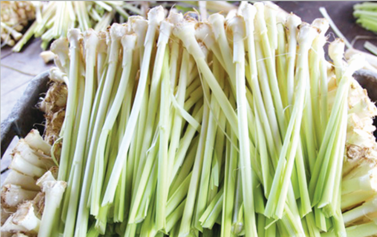 Bồn bồn đã được sơ chế.