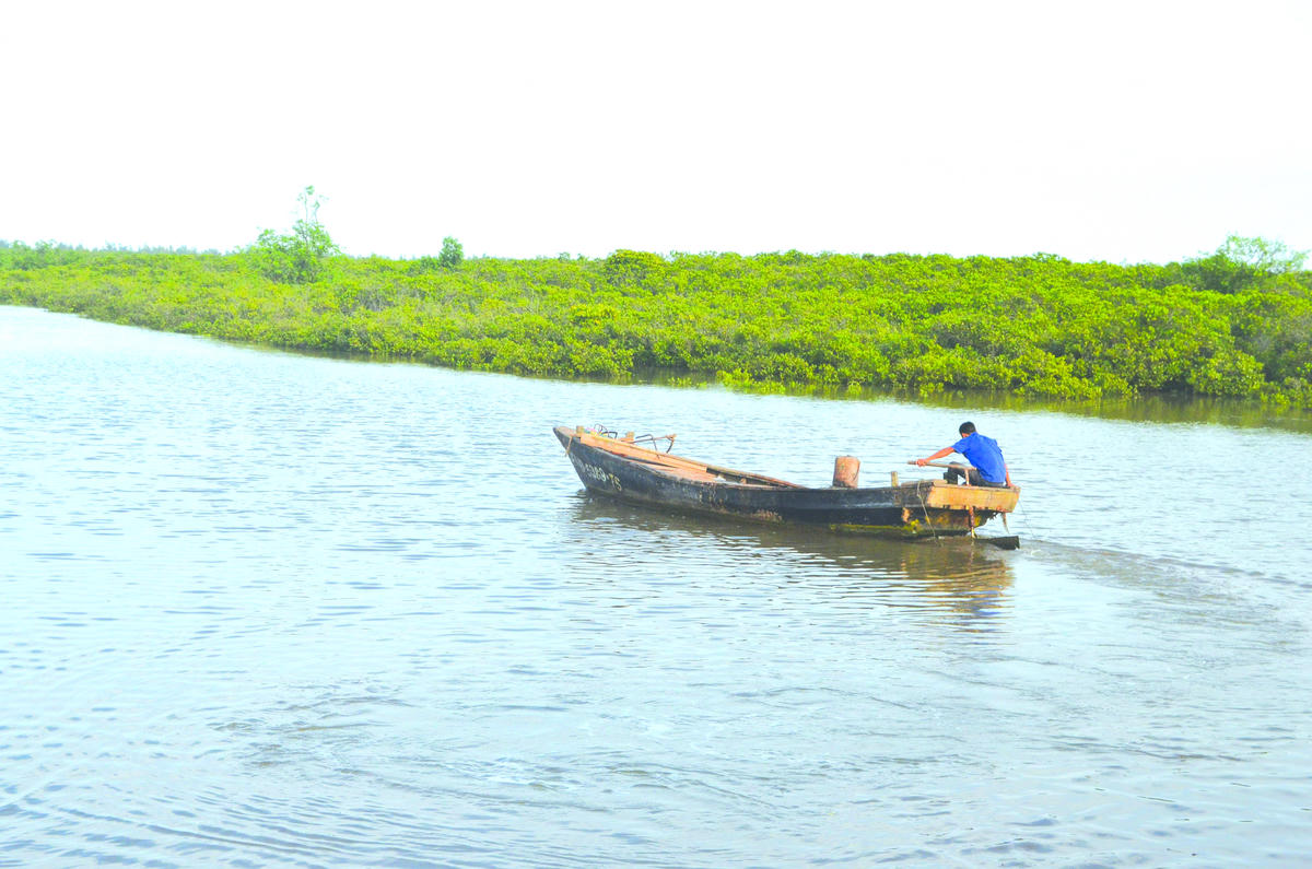Một góc Vườn quốc gia Xuân Thủy. Ảnh: Duy Hưng.