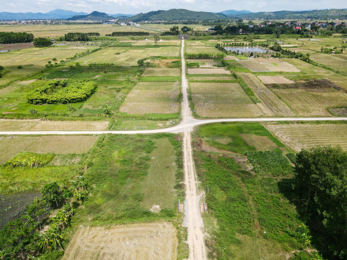 Dự án cũng sẽ đầu tư, nâng cấp tổng thể 5 tuyến đường nội bộ, trong đó có các tuyến đường xây dựng phục vụ cho việc xe điện chở khách tham quan.