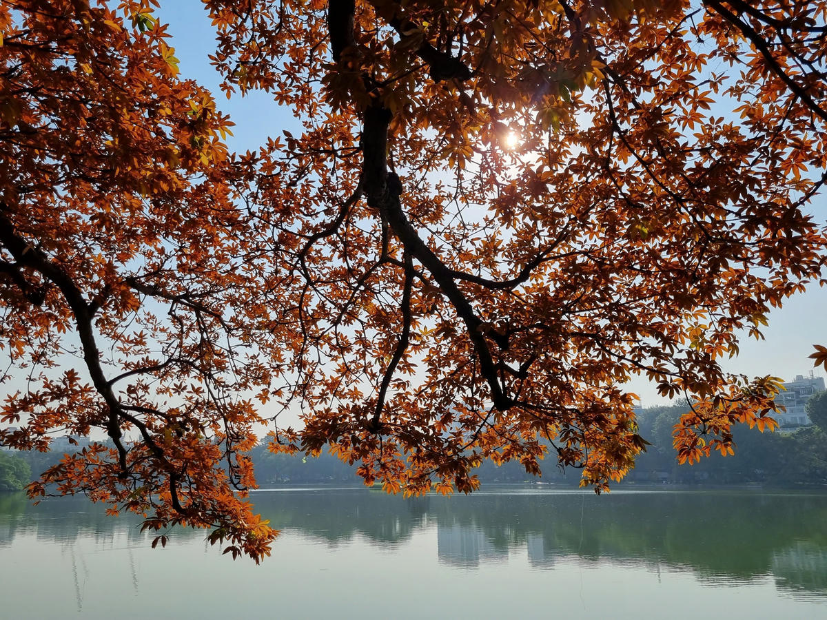 Hồ Gươm mùa thu.
