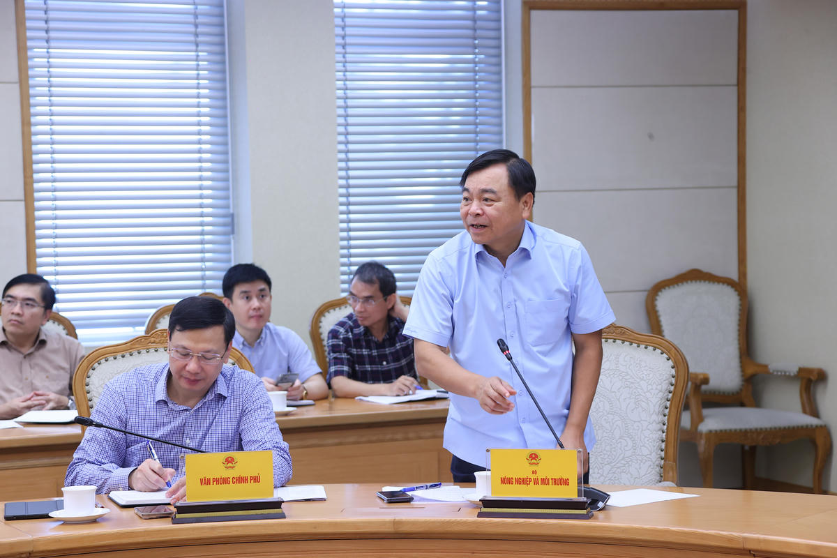 Thứ trưởng Bộ Nông nghiệp và Môi trường Nguyễn Hoàng Hiệp phát biểu tại cuộc họp. Ảnh: Minh Khôi.