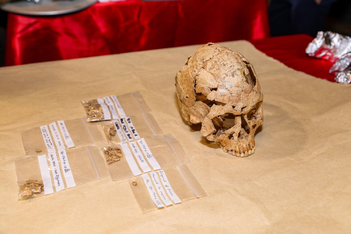 Hộp sọ người tiền sử được tìm thấy ở di sản Tràng An. Ảnh: Đình Minh