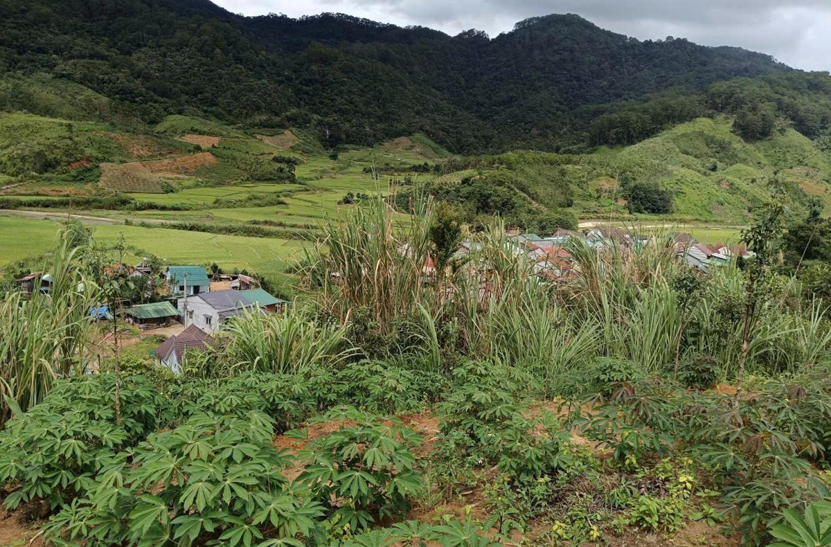 Khu
vực xuất hiện vết nứt gần nhà dân thôn Rooc Mẹt. Ảnh: CV.