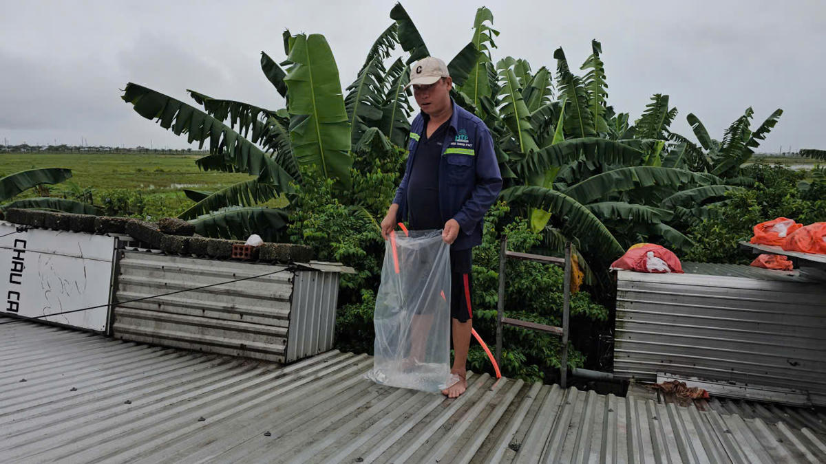  Theo đó, người dân sử dụng túi nilon cỡ lớn sau đó cho nước vào đến khi đầy rồi buộc chặt lại và đặt lên các góc của mái tôn để gia cố, hạn chế tốc mái khi có gió lớn. Ảnh: N.Q.