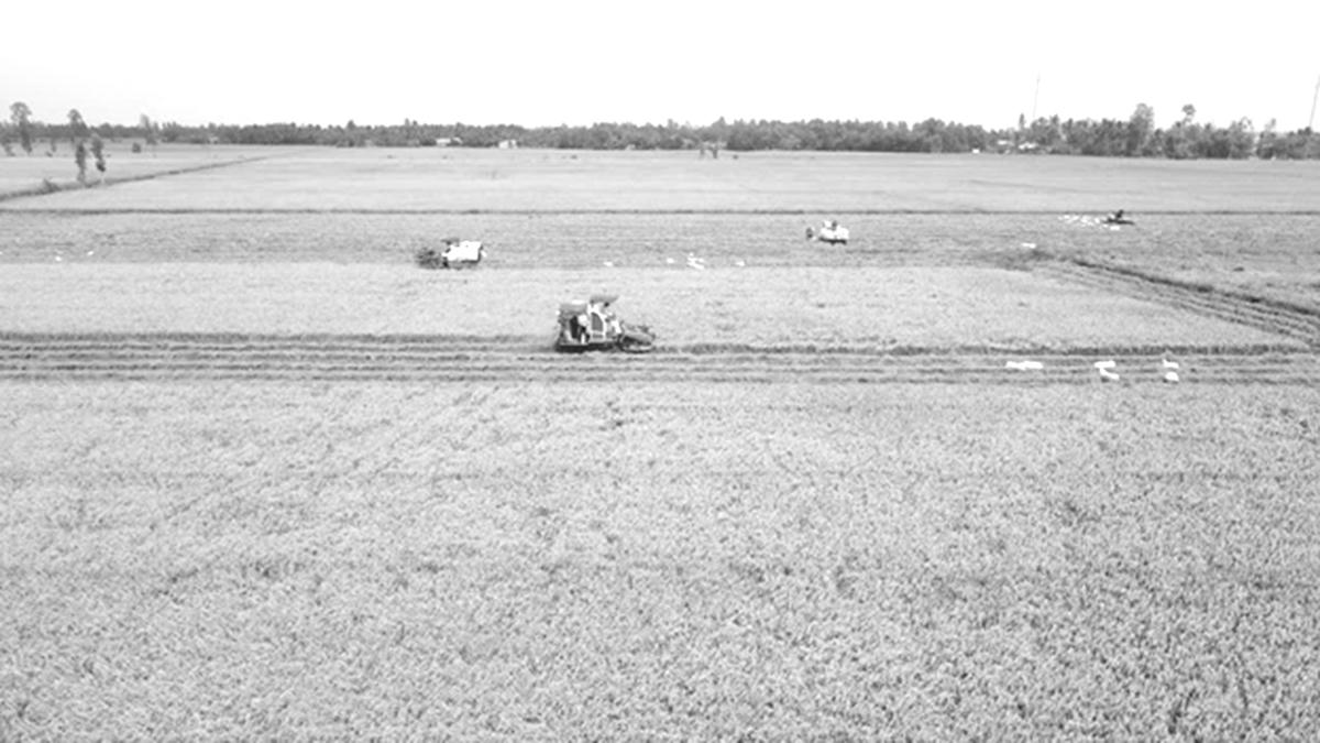 Từ nguồn vốn tín dụng chính sách, nhiều hộ nông dân đã đầu tư máy móc, cơ giới hóa trong sản xuất để nâng cao năng suất cây trồng, tăng nguồn thu nhập.