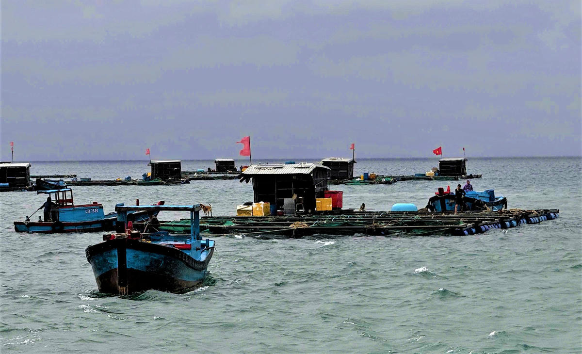 Lực lượng chức năng vận động người dân Lý
Sơn di chuyển lồng bè vào khu an toàn. Ảnh: CV.