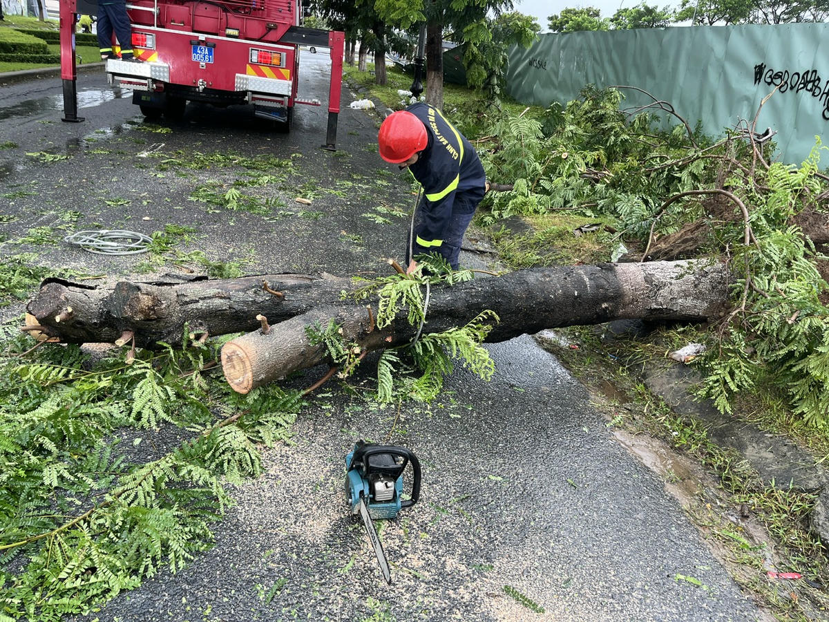 Đà Nẵng: Cảnh sát PCCC cứu nạn 6 người trong ô tô bị cây ngã đè