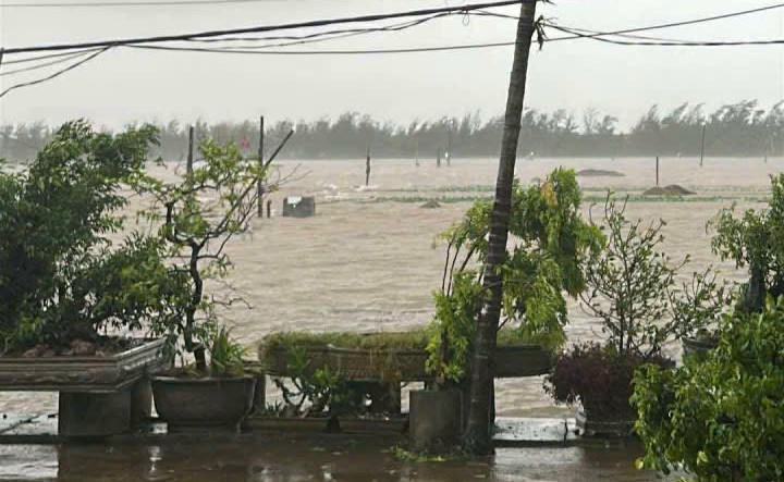 Ruộng đồng bị ngập nước. 