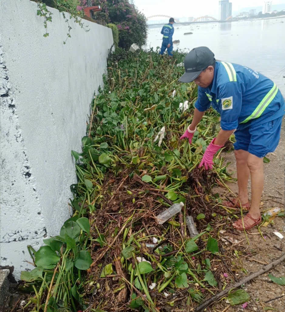 Các công nhân dọn rác trên sông. Ảnh: Nguyễn Tú.