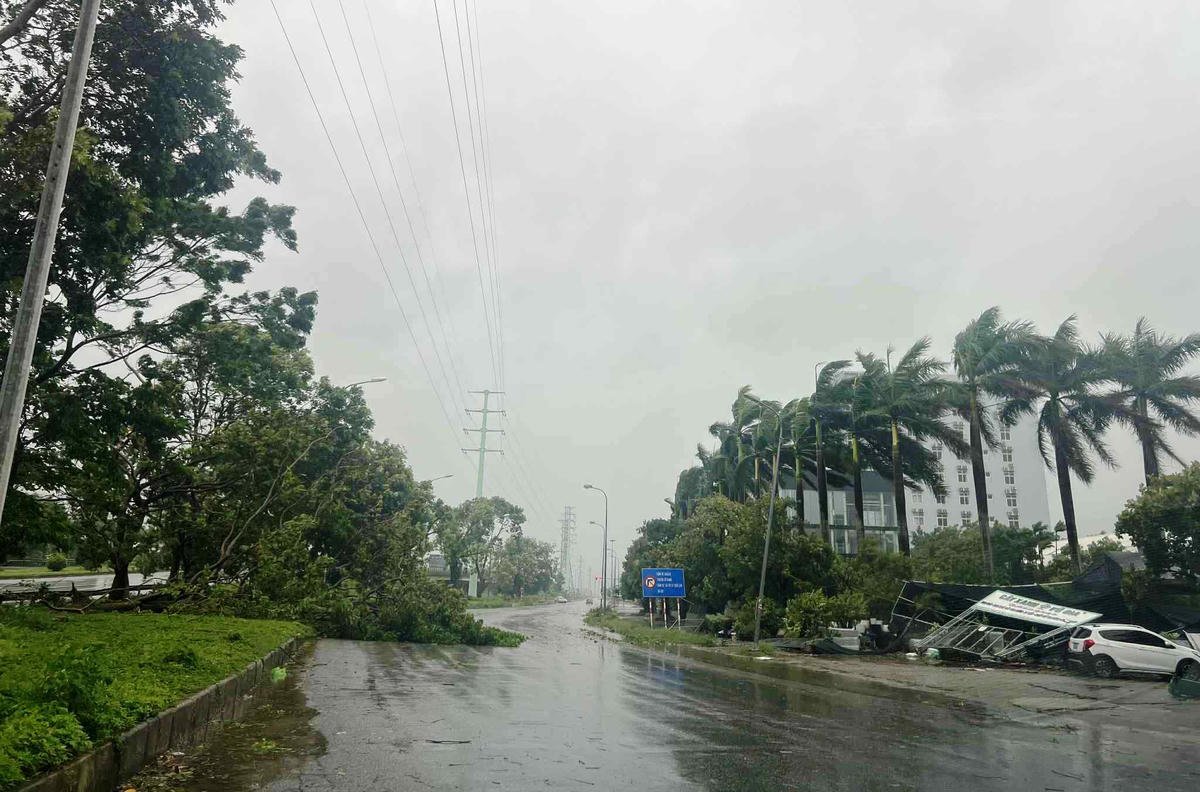 Đường phố các phường Hạc Thành, Quảng Phú ngổn ngang cây gãy đổ, mái tôn bị hư hại. Ảnh: Nguyễn Chung.