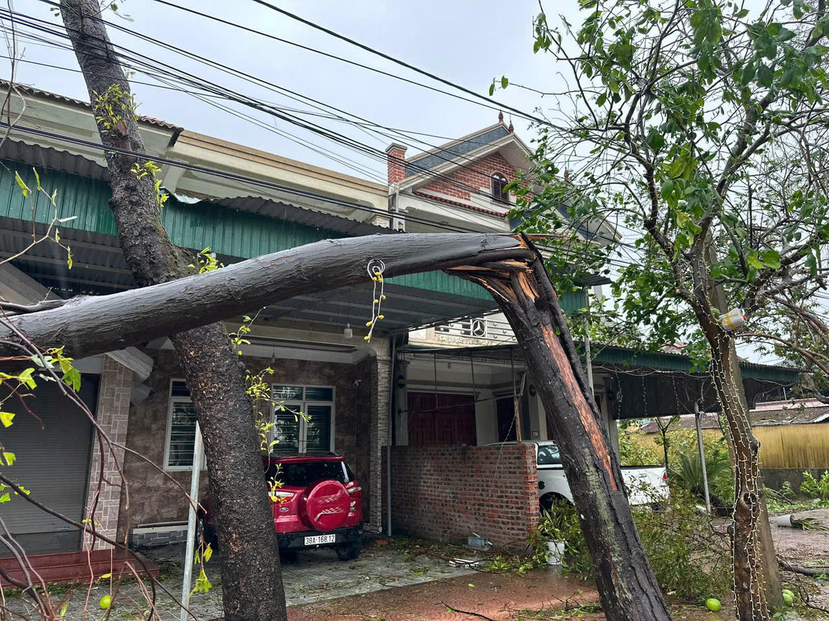 Một thân cây ở đường Quang Trung, phường Trần Phú, tỉnh Hà Tĩnh gãy ngang trước cửa nhà dân.