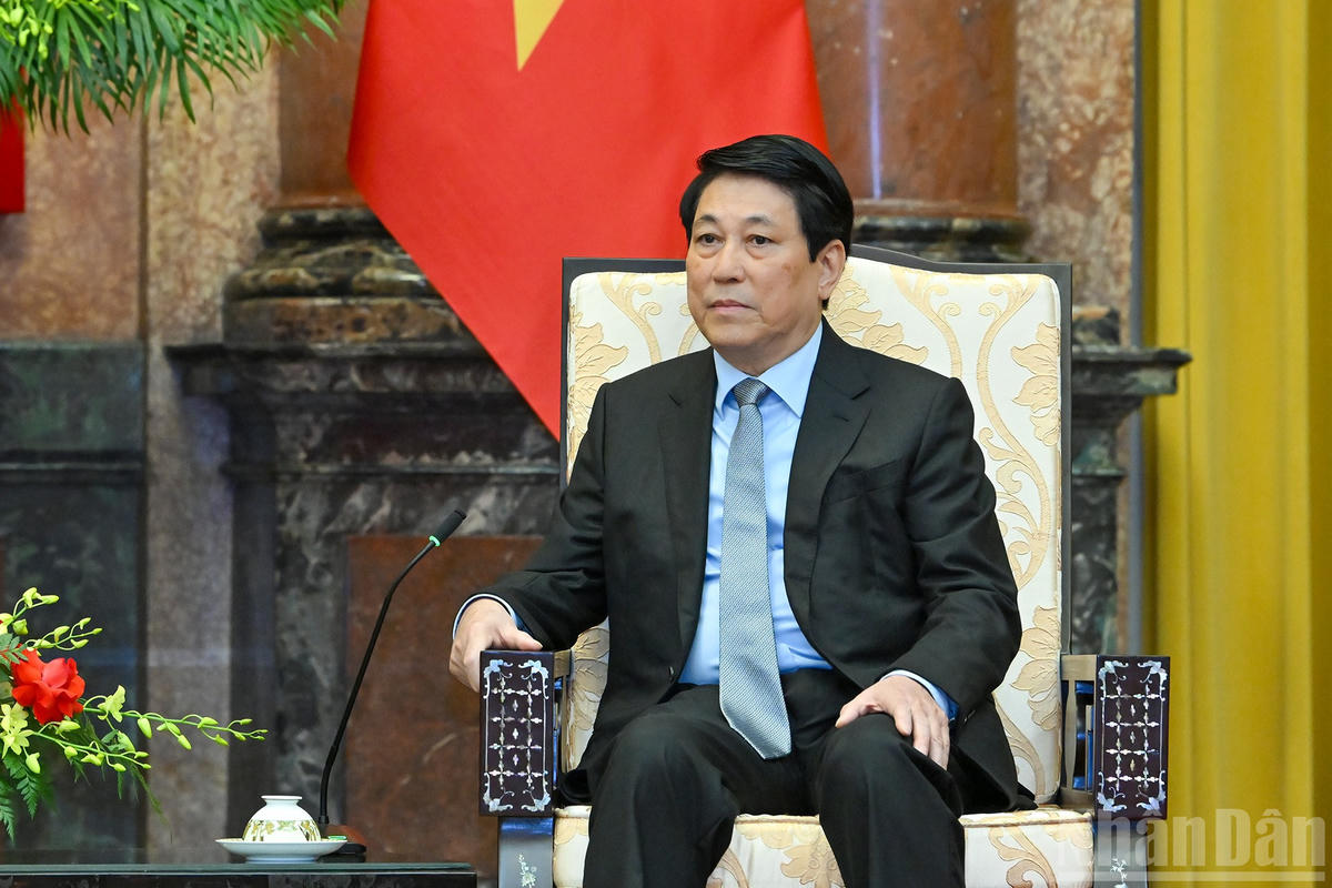 Chủ tịch nước Lương Cường phát biểu tại buổi tiếp.