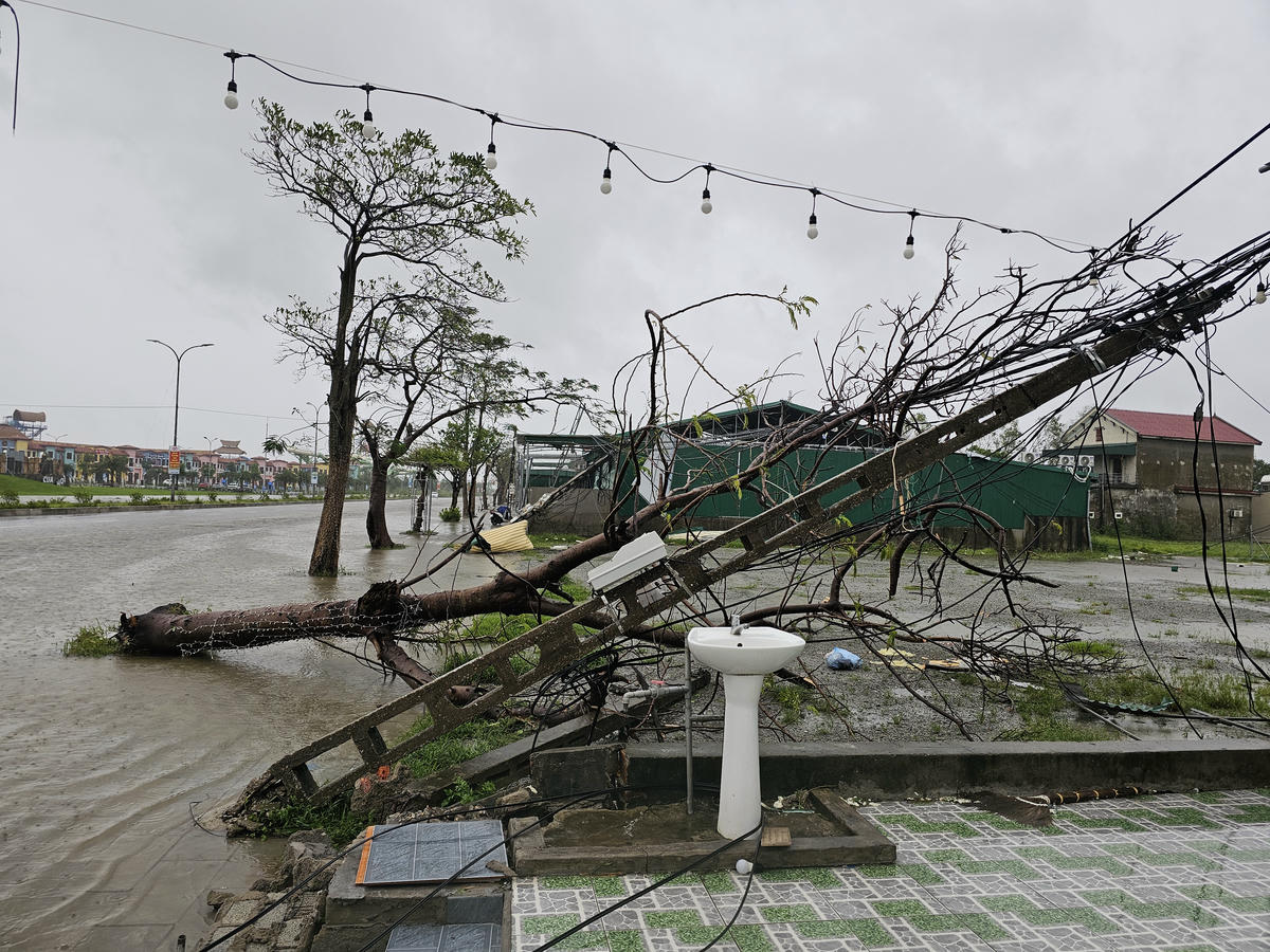 Nhiều cây cối, cột điện hai bên đường Bình Minh gãy đổ. Ảnh: Quốc Thanh.