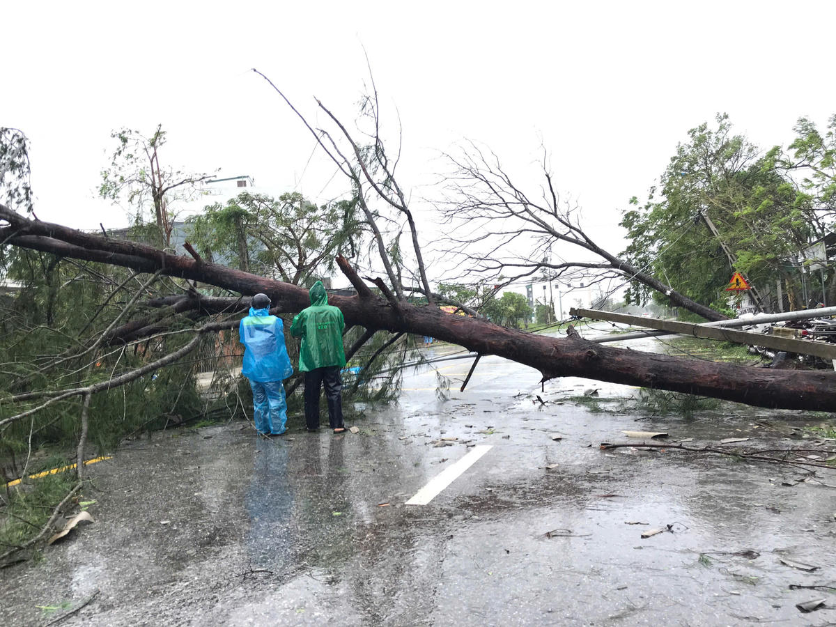 Theo ghi nhận, tại phường Vinh Lộc, Vinh Phú cây xanh đổ ngôn ngang, chắn hết lối đi. Ảnh: ĐB.