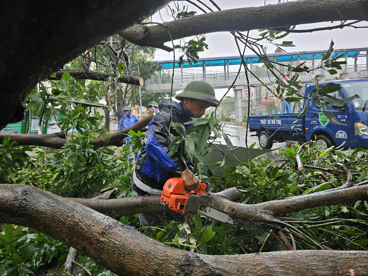Nhân viên Công ty Cổ phần Môi trường và Công trình đô thị Nghệ An cắt cành, thu dọn cây gãy đổ. Ảnh: Quốc Thanh