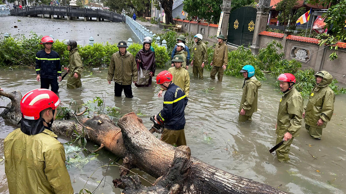 Lực lượng chức năng cát tỉa cây xanh bật gốc ở xã Hoằng Phú. Ảnh: CATH.