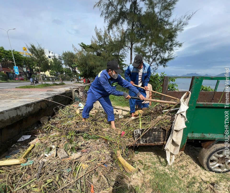 Bão số 10: Thu gom hơn 100 tấn rác ở bãi biển Đà Nẵng, sông Hàn Bão số 10: Thu gom hơn 100 tấn rác ở bãi biển Đà Nẵng, sông Hàn