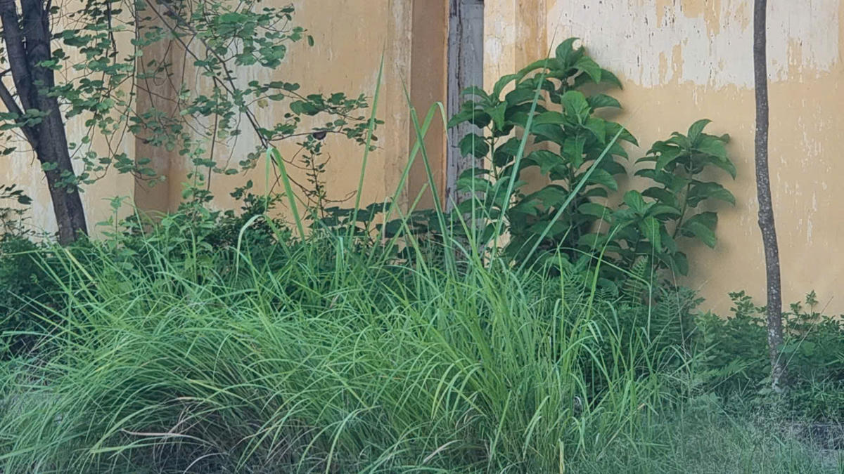 Phóng viên Báo Đại đoàn kết đã đăng ký làm việc với Công ty CP Gang thép Thái Nguyên từ cuối tháng 8/2025 về giải pháp tái sử dụng công trình trình sân vận động, tránh lãng phí như hiện nay. Tuy nhiên đến nay đơn vị này vẫn chưa có phản hồi. Ảnh: Toán Nguyễn.