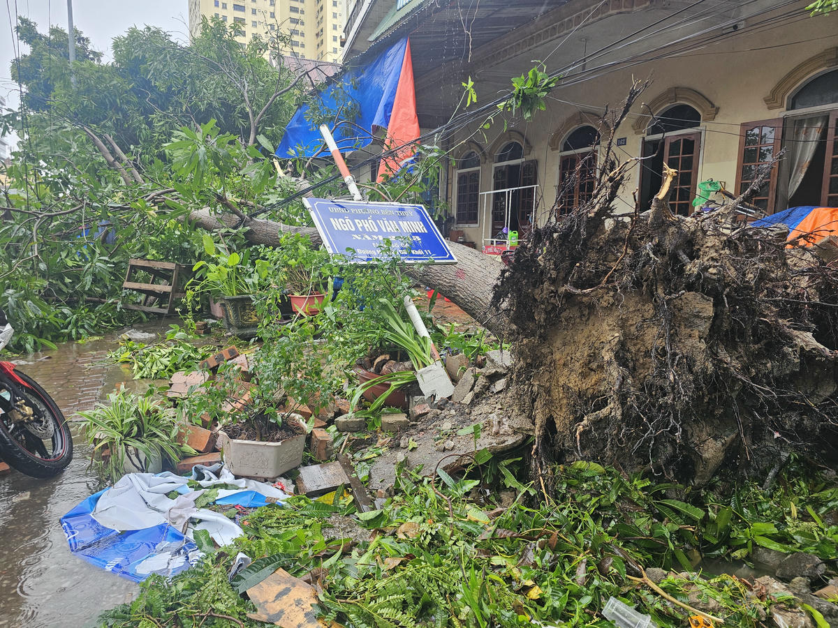 Ghi nhận của phóng viên Báo Đại đoàn kết sáng nay (29/9), tại các phường trung tâm của tỉnh Nghệ An, cây cối gãy đổ hàng loạt. Thời tiết lúc này vẫn mưa nặng hạt, gió mạnh và rít lên từng hồi. Ảnh: Quốc Thanh.