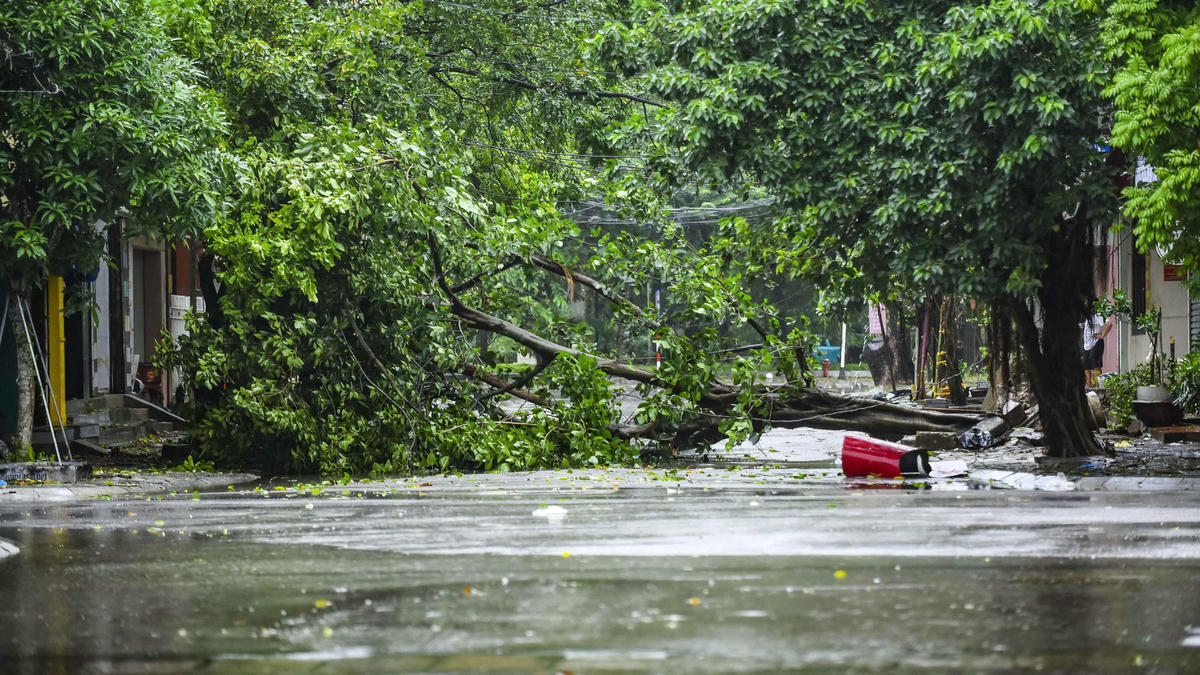 Không chỉ bị ngập nặng, tại nhiều địa phương, cây xanh còn gãy đổ, gây ảnh hưởng đến việc đi lại của người dân. Trong ảnh là cây gãy ờ đường Lê Quý Đôn, phường Hạc Thành.