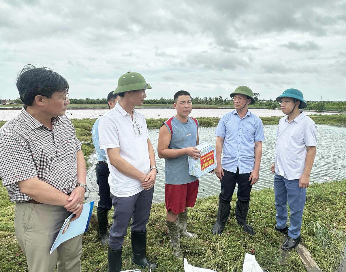 Chủ tịch Ủy ban MTTQ Việt Nam thành phố Hải Phòng Phạm Văn Lập động viên hộ trang trại tại xã Tân Minh do ảnh hưởng của lốc xoáy. Ảnh: PT. 