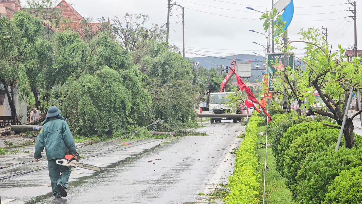 Bão số 10 đã làm gãy đổ số lượng lớn cây xanh, cột điện tại phường Bắc Hồng Lĩnh (Hà Tĩnh). Ảnh: Cẩm Kỳ.