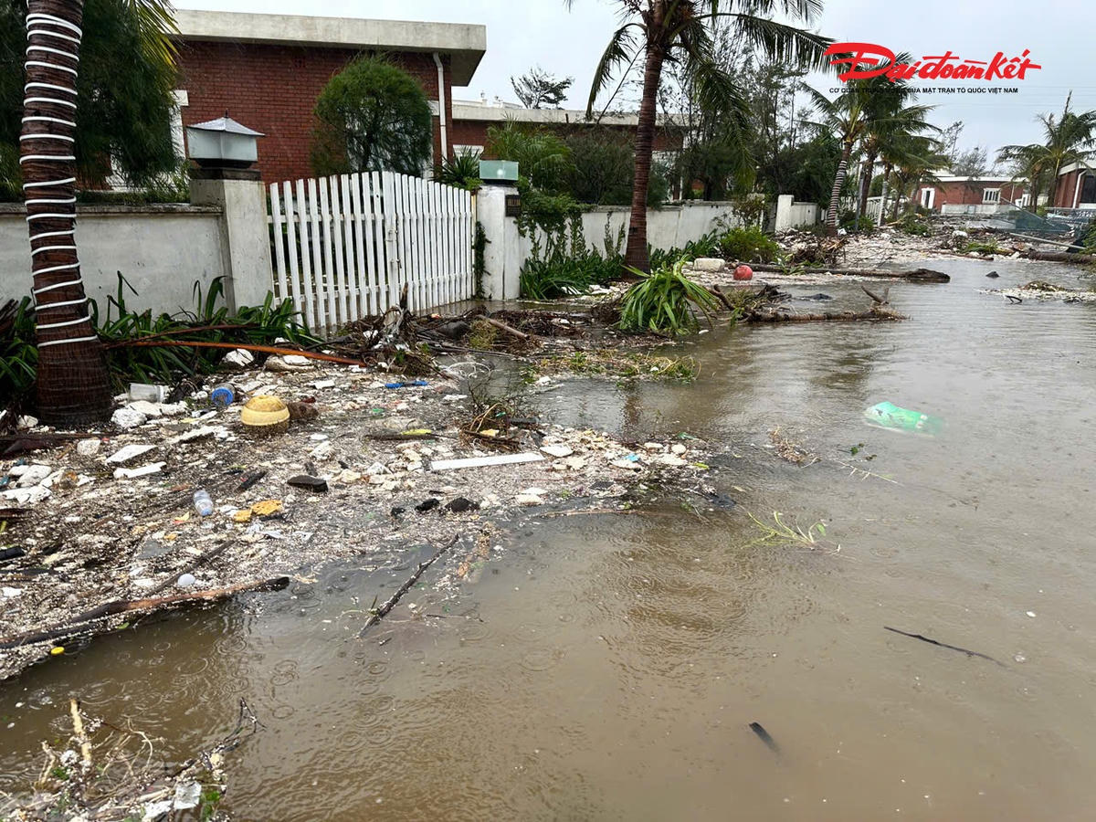 Các tuyến đường bên trong Resort ngập nước, chứa đầy rác thải.